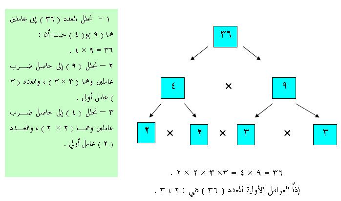 تحليل العدد ٢٠ الى العوامل الاولية