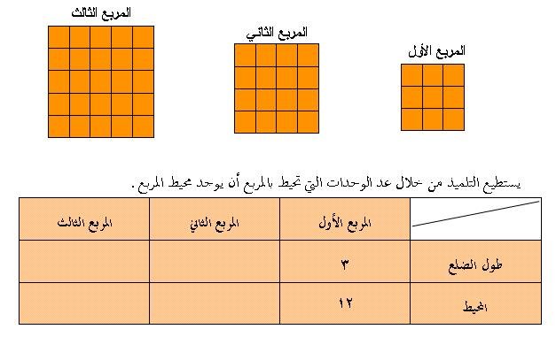 محيط المربع